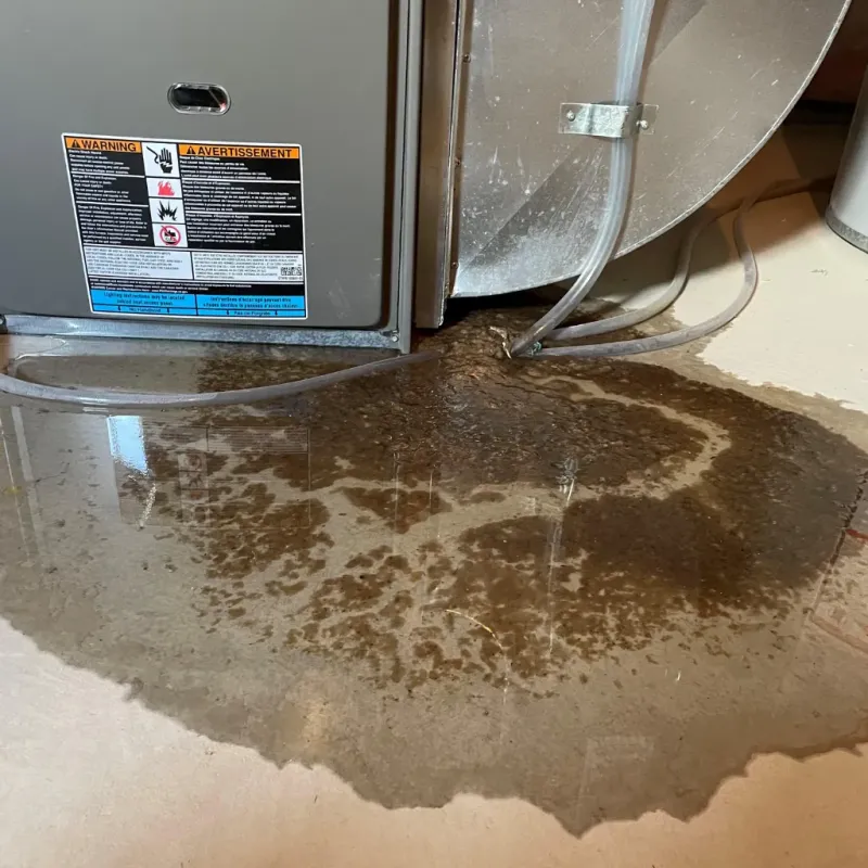 Appliance Leak Cleanup in Appleton, ME